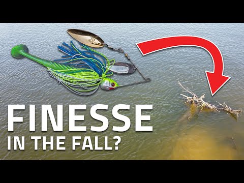 Why Finesse Spinnerbaits Catch More Bass in the Fall!  (Booyah Covert Finesse)