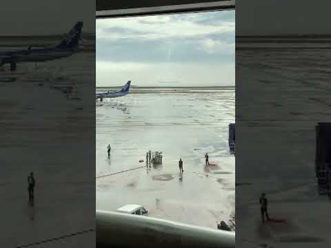 飛行機早送り