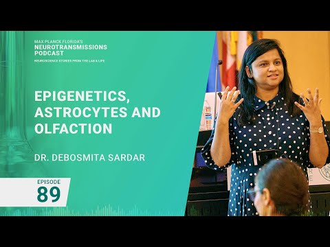 Podcast Ep. 89 - Epigenetics, Astrocytes and Olfaction | Debosmita Sardar