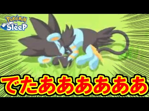 ついにボスにたどり着きました・・・。【ポケモンスリープ】