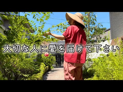 ゆっくり、確実に老いる両親🍁25日ぶりに降った雨は凄い雷雨🐉✨お花の植えつけも暑くて室内で