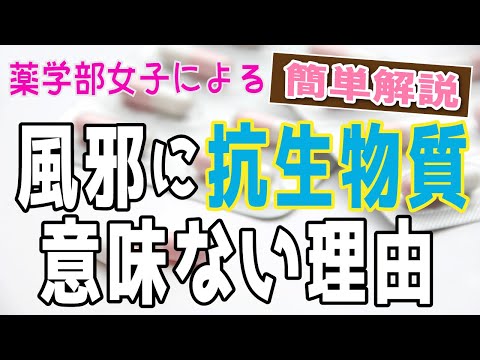 なるほど超簡単★風邪に抗生物質が効かない理由！話します！(*´ω｀)【薬学部】【女子大生】