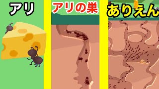 アリを増やしてありえない早さで巣を広げるアリコロニー【 Sand Ant Farm 】