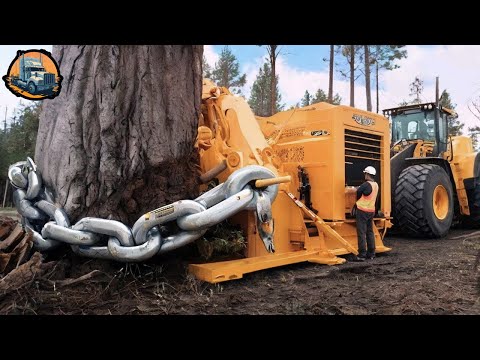 Extreme Dangerous Fastest Big Chainsaw Cutting Tree Machines - Monster Removes Tree Stump | Part 7