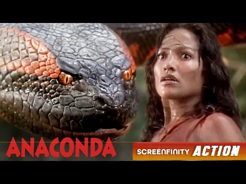 Anaconda doesn't back down till it gets their buns | Anaconda (1997) | Screenfinity Action