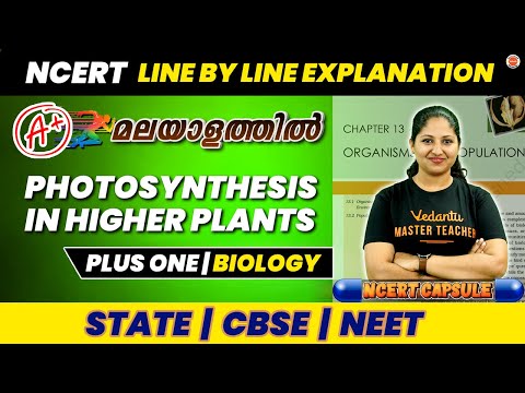 Photosynthesis in Higher Plants | Plus One Biology | NCERT Line by Line | Anchana Ma'am