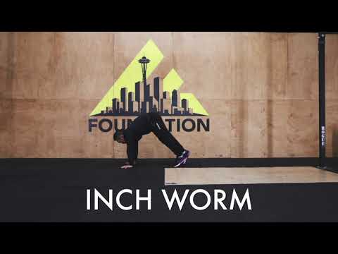 Inch Worm