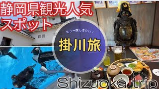 【静岡県掛川市観光】2024年3月掛川花鳥園/掛川城／女ひとり旅/ふたばちゃん