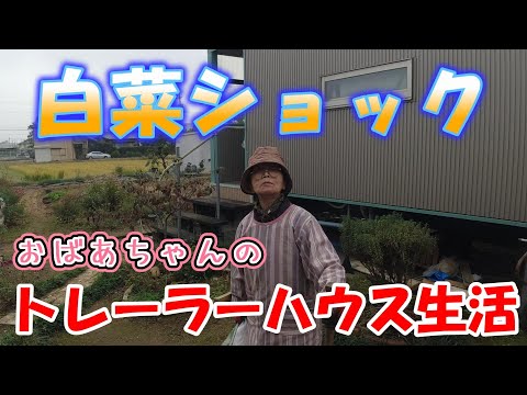 【トレーラーハウス生活】朝から花壇の手入れ、夕方は・・・　#374