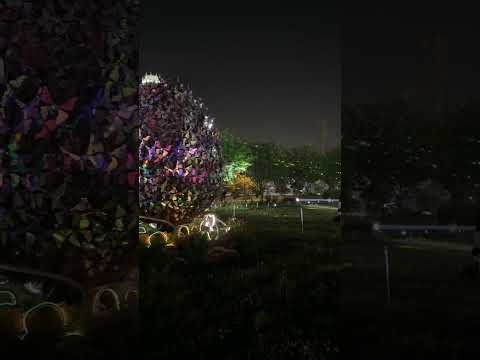 ラブ ライトピア / LOVE LIGHTPIA (Shorts 2) -- お台場 シンボルプロムナード公園 / Symbol Promenade Park, Odaiba (2024/5/20)