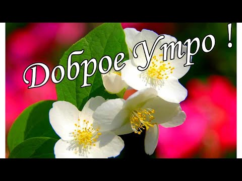 С ДОБРЫМ УТРОМ !🌼Желаю Самого Доброго Солнечного Утра!🌼  Шикарная Музыкальная открытка 🌼