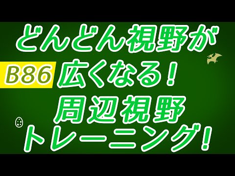 【Daily Eye Training】目指せアスリート！動体視力/周辺視野UP！vol.086