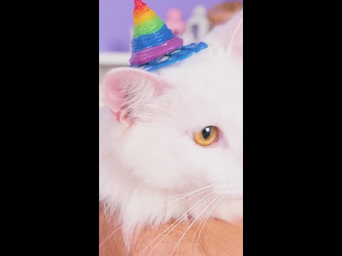 Cute hat for your adorable cat 🥳 Glue gun craft