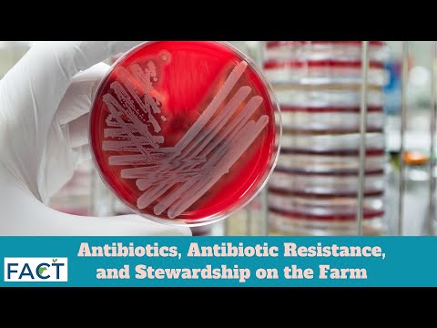 Antibiotics, Antibiotic Resistance, and Stewardship on the Farm