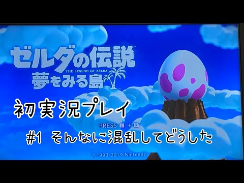 【ゲーム実況】ゼルダの伝説 夢をみる島#1【そんなに混乱してどうした】