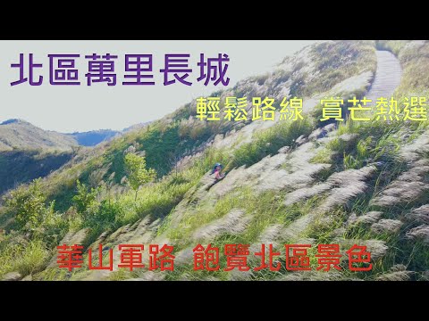 北區萬里長城 - 華山軍路 – 絕美芒草景 – North District Great Wall – Wa Shan Military Road - ｛山野篇 Hong Kong Hiking｝-