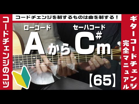 【65】ローコードAからセーハコードC#mへのコードチェンジのコツ 【ギター初心者レッスン】