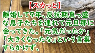 【スカっと】離婚して９年、反抗期真っ盛りな息子たちを連れて元旦那に会ってきた。「元気だったか」「大きくなったな」という言葉すらかけず、【痛快・スカッとジャパン】