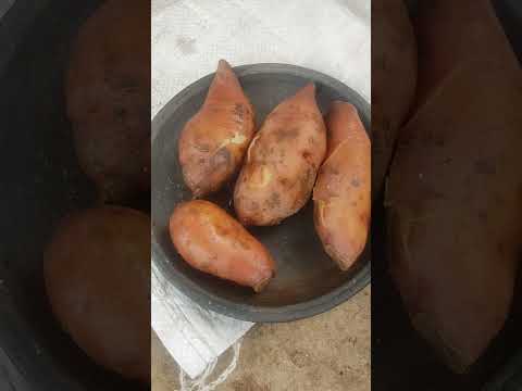 #ಗೆಣಸಿನಅಲ್ವಾ #ಅಲ್ವಾ #sweetpatatohalwa #halwa #sweetpatato😋🤤