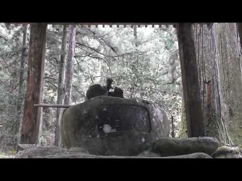 【神社参拝】樹齢1000年杉！・郡上新宮神社　参拝（岐阜県）