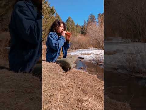 a little flute moment #nativeamericanflute #flutemusic #meditationmusic #folkmusic #colorado