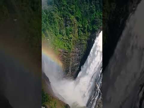 mesmerizing falls, westernghats #waterfall #westernghats