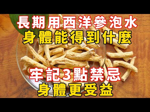 長期用西洋參泡水，身體能得到什麼？牢記3點禁忌，身體更受益