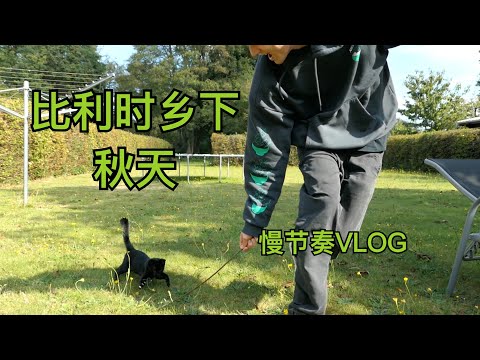 【Slow VLOG】Lazy Day in Belgian Autumn