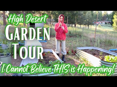 MY HIGH DESERT GARDEN TOUR Growing Lots of Potatoes & Protecting Plants from Frost