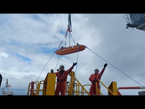 PROJECT CREW IS SAFE TRANSFER TO SURFER |  BORBONSTREET