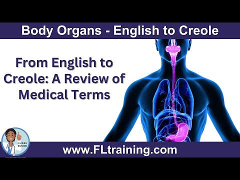 Body Organs Translated from English to Haitian Creole 🧠🫀🦴