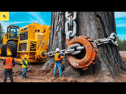 Insane Monster Chainsaw Cutting Through Huge Trees | Extreme Stump Removal with Excavator Power#79