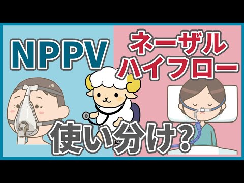 【質問コーナー】ネーザルハイフロー、NPPV、ベンチュリーマスクの使い分け