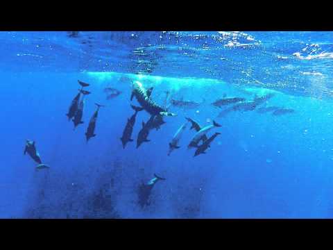 【海の中で、言葉はいらない。】 - 「心、動く島。」