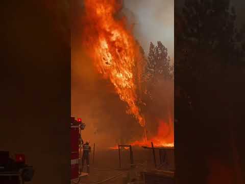 A clip from a fire we had! #forestfire #fire #dtffpodcast  #firefighter #staysafe