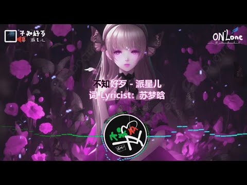 【不知好歹】：派星兒 | 我的难过 只能奢求 你别离开我 | MUSIC #03