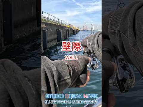 壁際にキャスト　ソルトルアー　 #fishing #シーバス IP13　コアマン