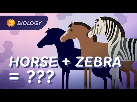 Speciation: Where Do Species Come From?: Crash Course Biology #15