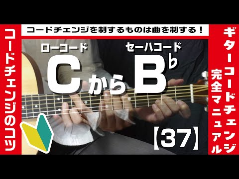 【37】ローコードCからセーハコードB♭へのコードチェンジのコツ 【ギター初心者レッスン】