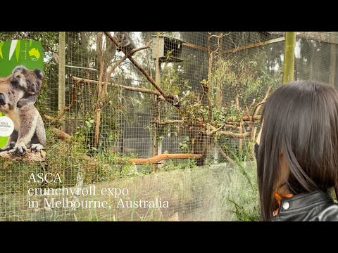 ASCA in "crunchyroll expo 2022" at Melbourne, Australia