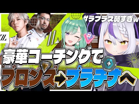 【コーチング】VALORANTを始めたばかりの初心者はとりあえずこれを見ろ！ブロンズ沼から抜け出しすぐプラチナへ！【ZETA DIVISION KOHAL選手 鈴木ノリアキさん/ぶいすぽっ！八雲べに】