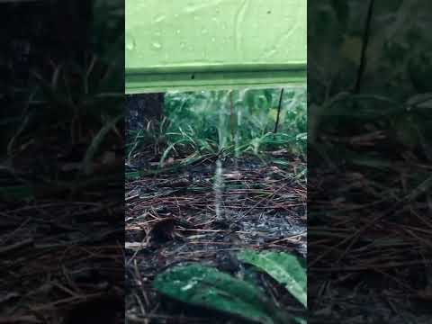 Camping rain ASMR