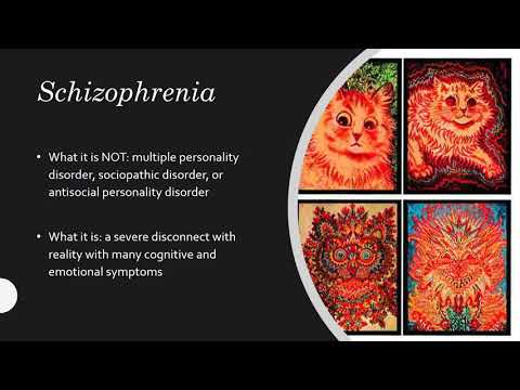 Module 12   Mood Disorders and Schizophrenia Recording