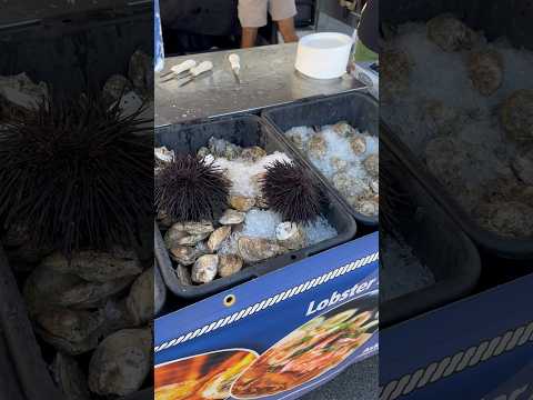 What are those black spikes next to the oysters 🦪? OB life #socal