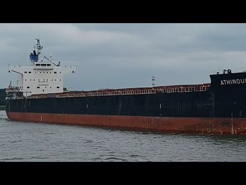 BULK CARRIER | #shorts