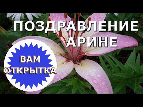 Поздравление Арине