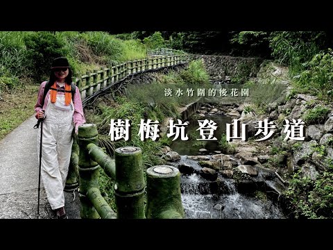 淡水竹圍的後花園｜樹梅坑登山步道、忠義山、吳仔厝｜三個蛋糕cakethree