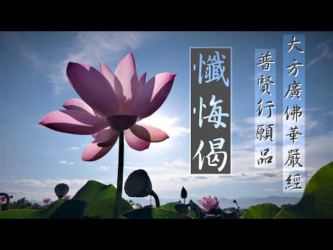 【懺悔偈】白河蓮花季 2020/6月拍攝  ( 演唱: 喬安舞，編曲: 馬龍，曲名: 懺悔文 )