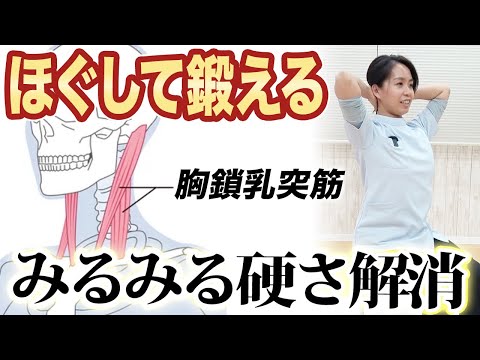 メリットがありすぎる！？整体師が座ってできる胸鎖乳突筋のトレーニング方法を実演！