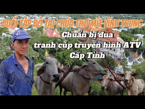 Tập Dợt Bò chuẩn bị cho ngày thi tranh cúp ATV Cấp tỉnh. tại chùa thơ Mít Vĩnh trung 7 núi An Giang